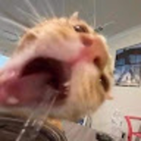 jasperanders274